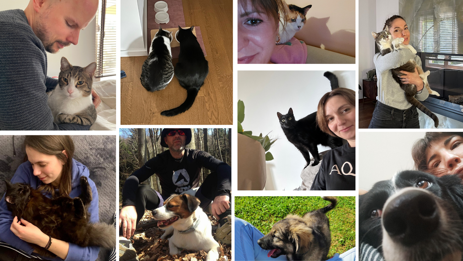 WE HAVE BEEN DONATING TO ANIMALS FOR THE 6TH YEAR IN A ROW